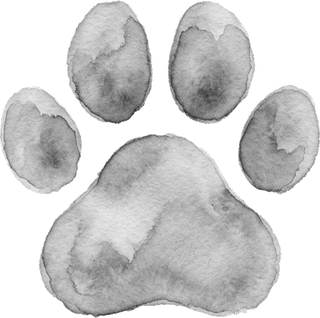 Paw Print